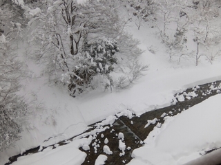 20160126122346080.jpg