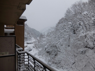 20160127072045483.jpg