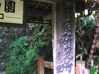 苔の園