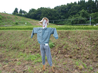 定番かかし