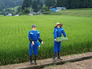 田植え中のお二人
